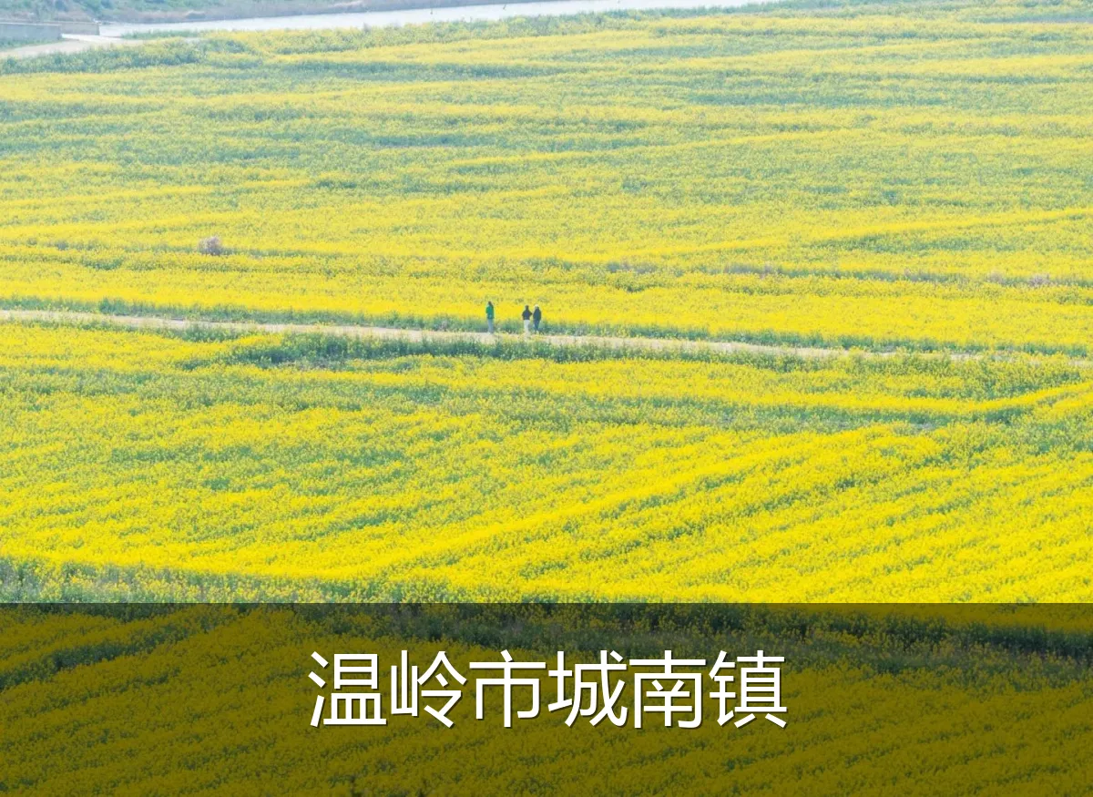 温岭市城南镇